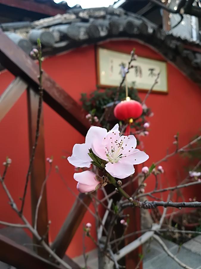 Lijiang Buwuzhai Inn Luaran gambar